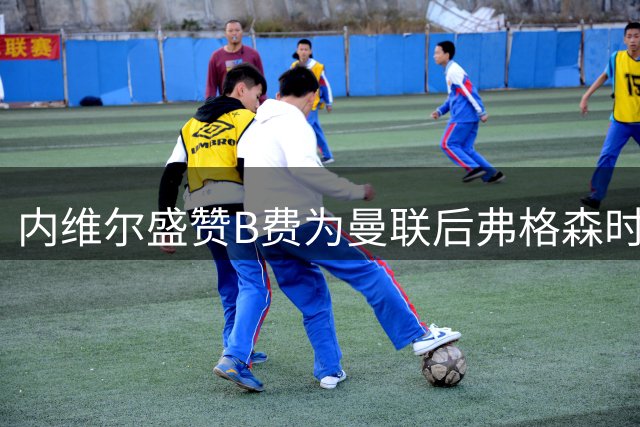 内维尔盛赞B费为曼联后弗格森时代最佳签约